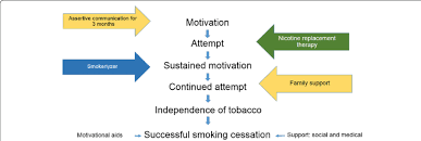 Conceptual Model Of Newly Devised Smoking Cessation Service