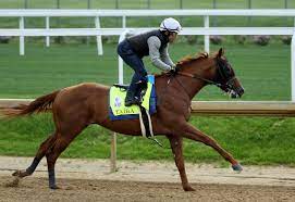 Kentucky Derby Entries 2022: Race-Day ...