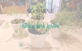 Next, you need 4 containers, wood braces, rocks, empty bottles, potting soil, and your favorite herb plants to make this kitchen garden. So Simple Diy Kitchen Herb Garden