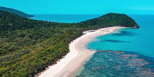 cairns to cape tribulation tour with