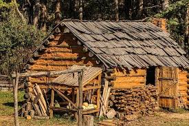 old log cabins facts and history log