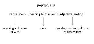 Participles Part I Ancient Greek For Everyone