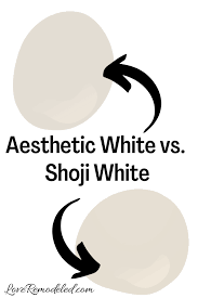 Aesthetic White Paint Color Review