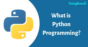 Image result for python programming