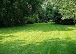 6 Proven Ways to Keep Your Lawn Green and Healthy - Home Funding Corp.