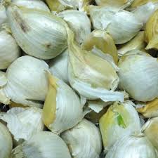 Be gentle when lifting the garlic out of the soil so that you don't accidentally bruise or damage it. Elephant Garlic