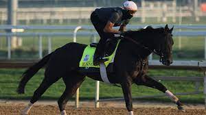 Kentucky Derby horses 2022: Fast facts ...