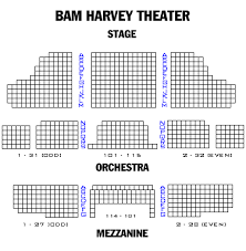 Brooklyn Academy Of Music Harvey Theatre Playbill
