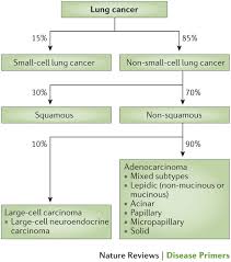 non small cell lung cancer nature