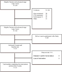 Flow Chart Over Eligible Patients With Advanced Stage Lung