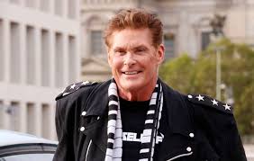 The hoff) was born in baltimore, maryland, usa. Giant David Hasselhoff Model From Spongebob Movie Hits Auction At 1 5m
