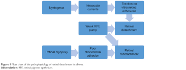 Full Text Retinal Detachment In Albinism Opth