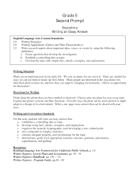 Free Expository Essay Outline Template Word Doc Adomus