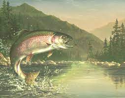 fly fishing wallpaper trout