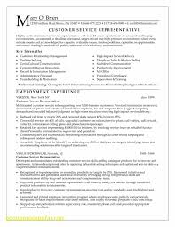 Customer Service Job Description For Resume Tjfs Journal Org