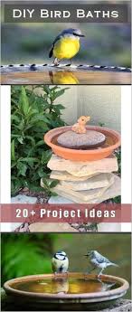 Affordable diy projects and gardening ideas for a statement space. Creative Darling Bird Bath Projects For The Yard