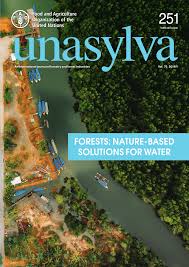 Get breaking south africa news, pictures, multimedia and analysis as it happens. Pdf Upwind Forests Managing Moisture Recycling For Nature Based Resilience