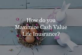 We did not find results for: Cash Value Life Insurance Build More Cash Insurance Geek