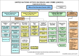 42 Unfolded World Health Organization Organizational Chart