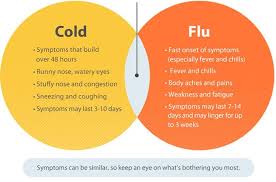 cold flu causes symptoms