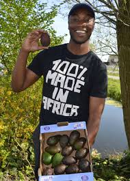 African avocado's increase incomes of 20,000 Kenyan farmers |  www.natureandmore.com