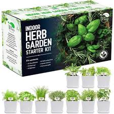 9 Best Indoor Herb Gardens For Growing