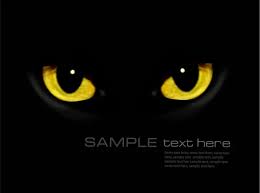 115 cat eye makeup vector images