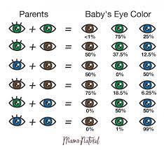 eye color chart what color eyes will
