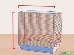 How To Care For A Parrot With Pictures Wikihow