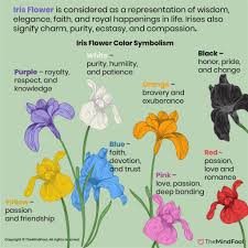 Flowers that symbolize strength and determination. A Complete Guide To Iris Flower Meaning And Symbolism Themindfool