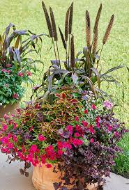 Fall Flower Pot Ideas Garden Gate