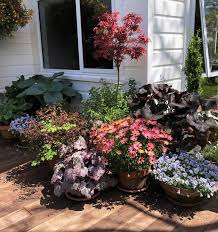 Hanging Baskets Ready For Summer