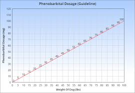 Phenobarbital For Dogs Veterinary Place