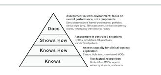 Millers Pyramid Of Professional Competence With Examples Of