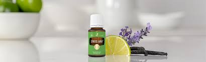 (young living recommends doing a patch test so you can see how your skin responds first on a small area.) avoid citrus oils on skin areas that are exposed ways to benefit from yl stress away: 7 Daily Uses For Stress Away Young Living Blog