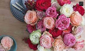 the most beautiful roses fleurcreatif com