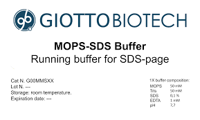 buffer archives giotto biotech