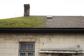 how to remove moss from roof and and