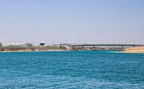 Fishing In Abu Dhabi Guide Best Spots Seasons License