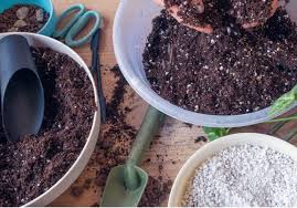 great potting soil for baskets containers