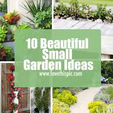 10 Beautiful Small Garden Ideas
