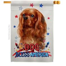 breeze decor 28 in x 40 in patriotic ruby cavalier king spaniel dog house flag double sided s decorative vertical flags