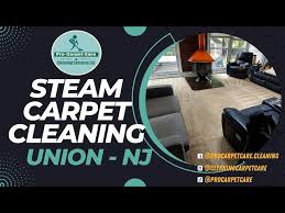 steam carpet cleaning union nj you