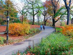 Parks In New York Newyork Co Uk