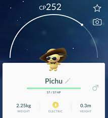 Common this level gain rate pokémon required total exp amounts for each level. Pichu With Summer Style Hat Sunglasses Pokemon Go Trade Not Shiny Ebay