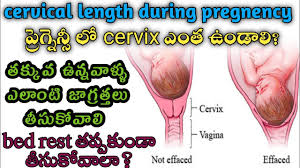 cervical length in pregnancy in telugu