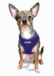 Ultra Comfort Purple Mesh Harness Vest Hip Doggie