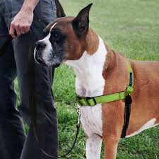 Deluxe Easy Walk No Pull Harness Padded Reflective