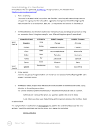 05 5 Classification Worksheet