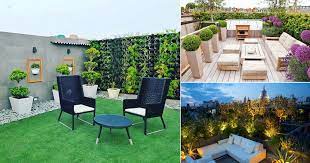 Buy Home Decor Plants In Delhi Top 10